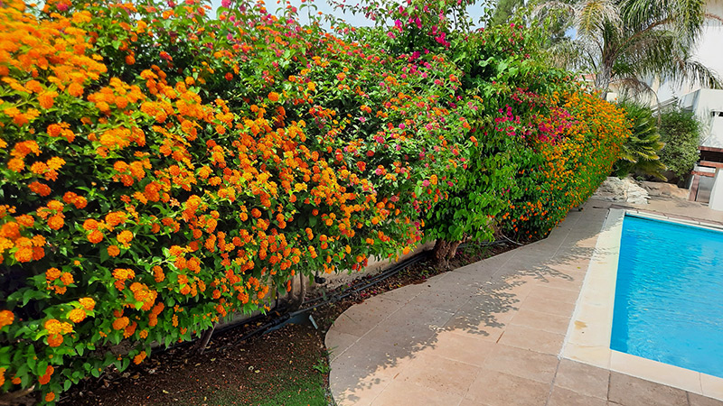 EFS Energy Saving  Engineering Services Ltd image 3