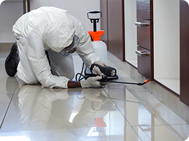 Hire Kill Pest Control Ltd image 3