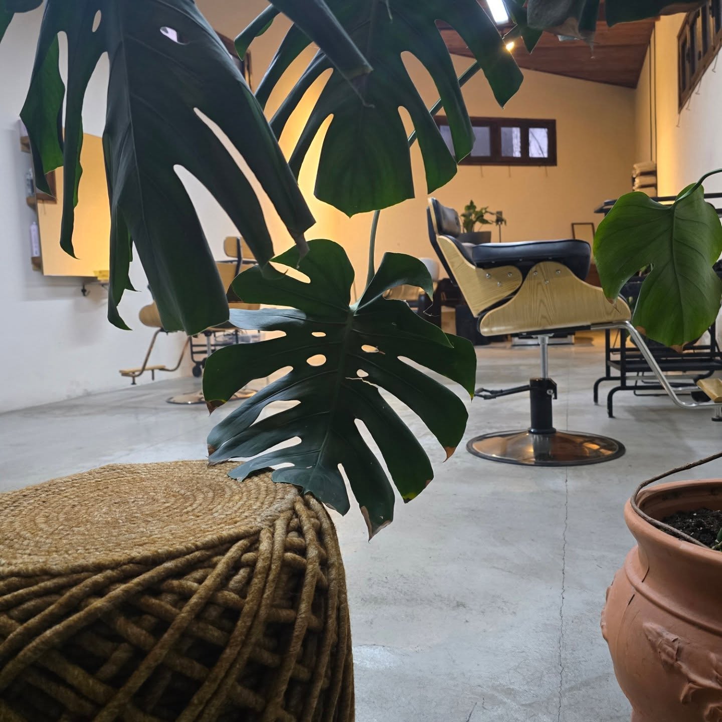 MOTEL salon shop image 3