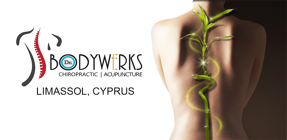 Bodywerks Chiropractic & Acupuncture image 2