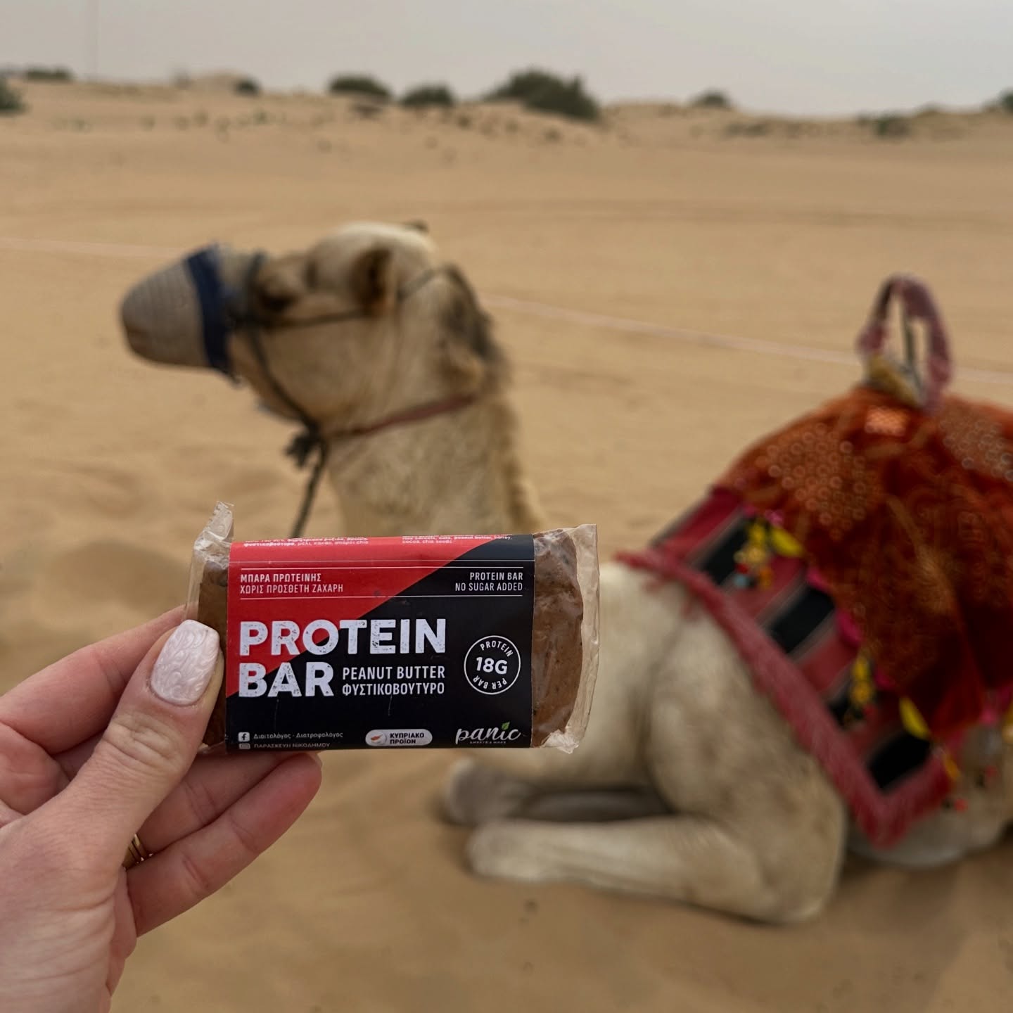 Panic Sweets image 1